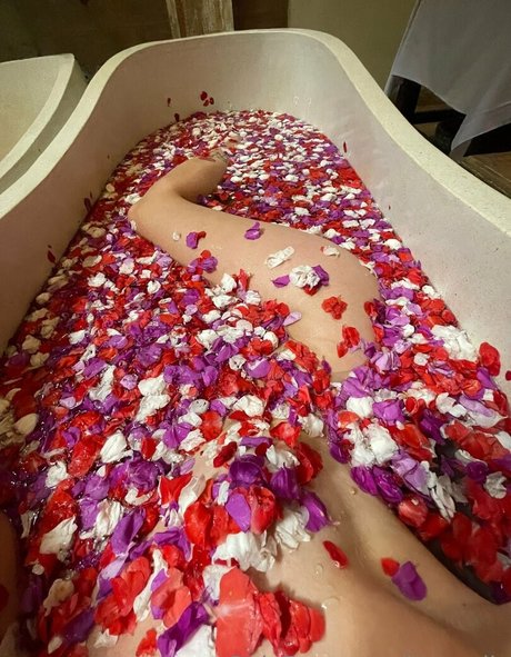 anapuru Quick model image