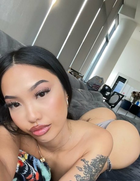 wetaja free star gallery