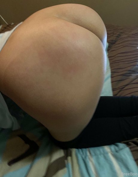 breeboo best pornstar photos