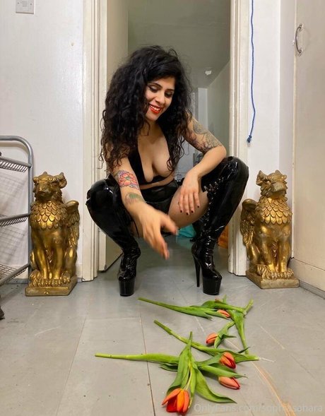 bbc cuckold onlyfans xxx img