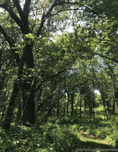 nude pregnant onlyfans hd img