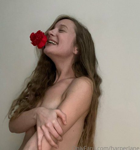 harperlane sex pornstar galleries