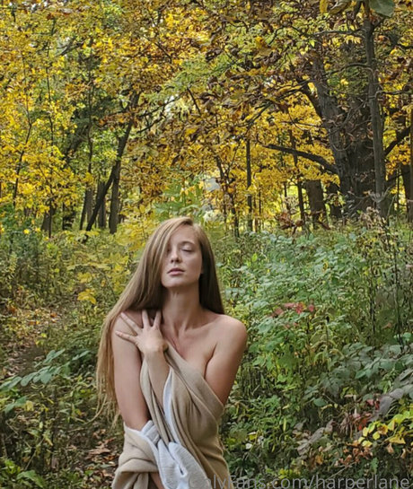 harperlane porn actress pictures