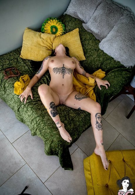 Swampxcricket nude pornstar archive