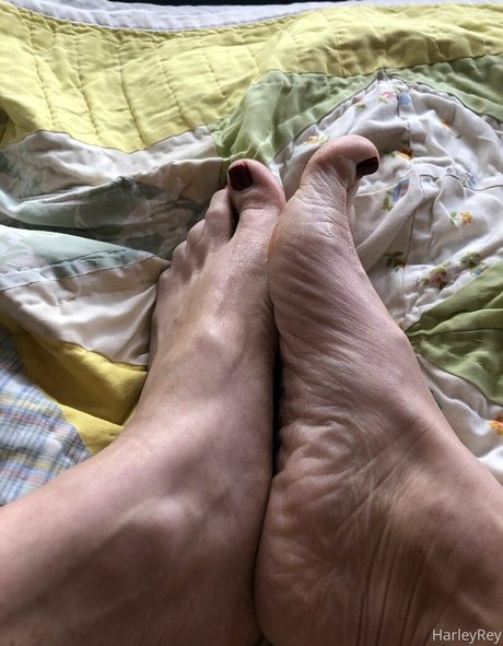 harleyrey erotic actress image