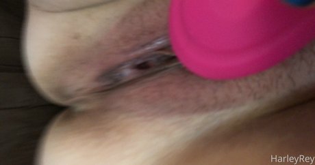 harleyrey sex pornstar pics