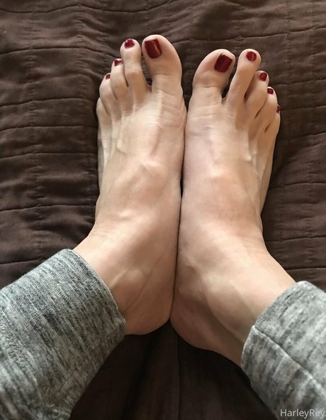 harleyrey star hot picture