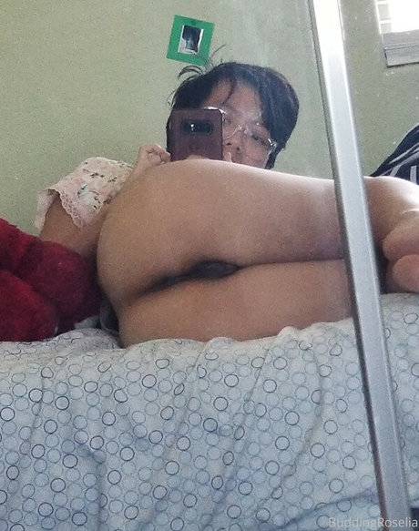 buddingroselia model porn picture