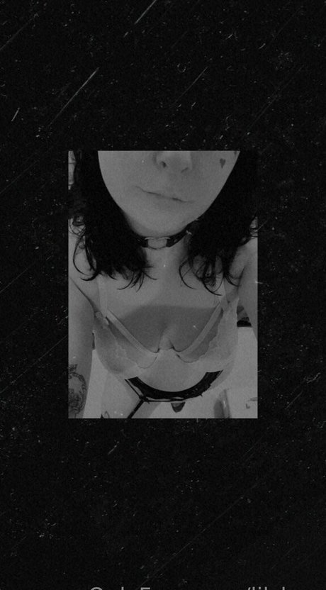 lilshag model free image