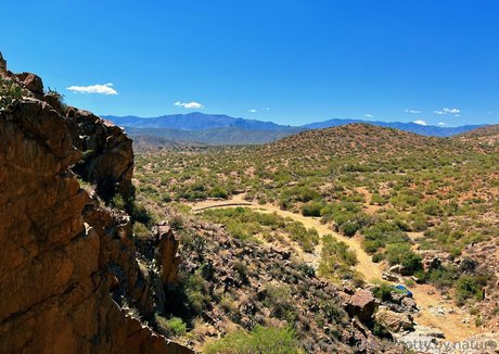 knotty by nature model hd galleries