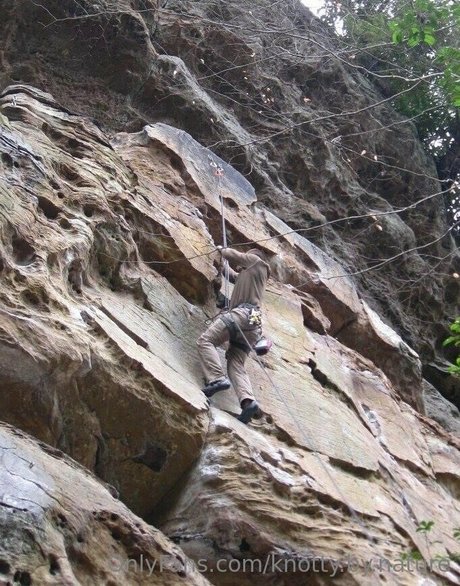 knotty by nature free star image