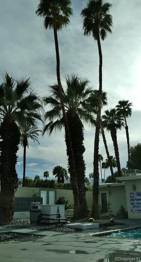 dreamer31 star hot photos