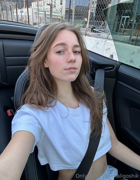 maligoshik Quick model image