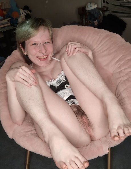 lori critter nice star images