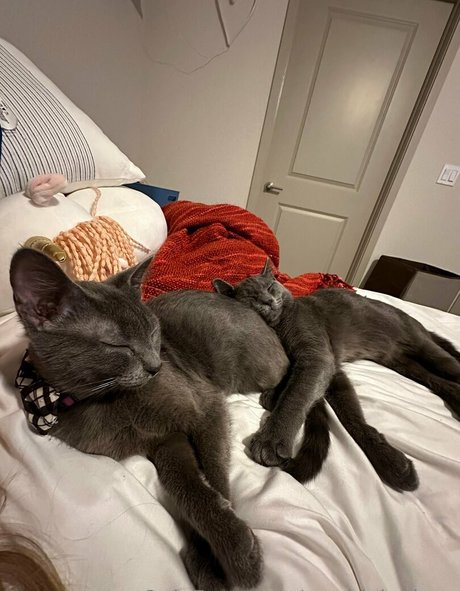 thick ebony onlyfans art nude pics