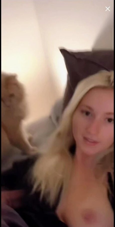 Paige Loren star pretty pictures