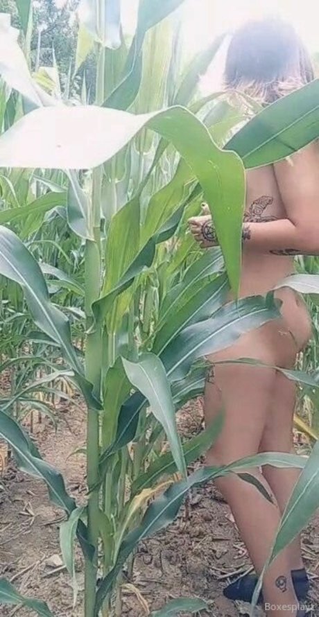 SoftBoxBoi model exclusive images