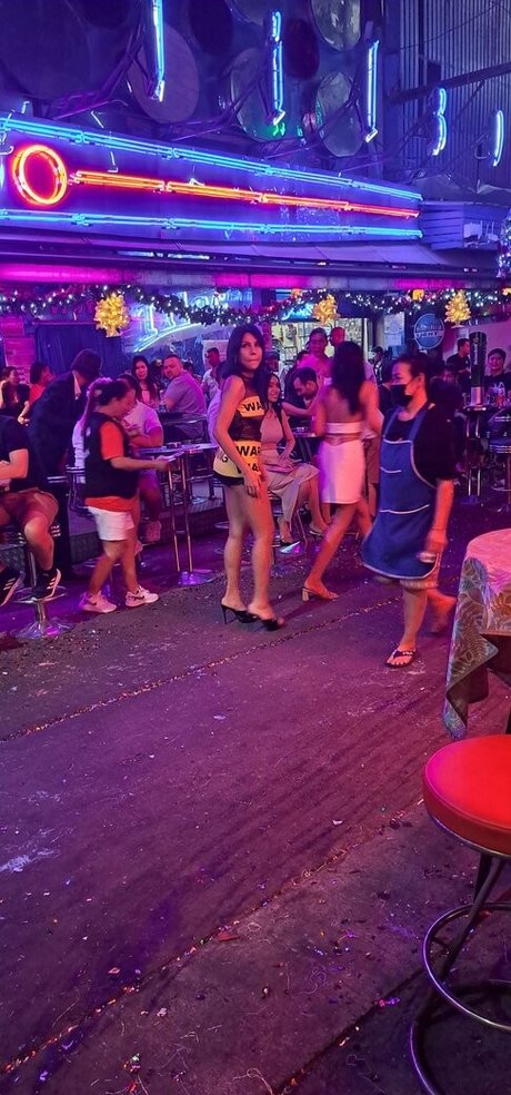 adultinghard free star pictures