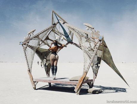 La Reina Shaw sexy pornstar galleries