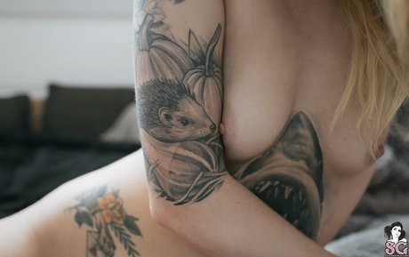 Teeth Sg star hd archive