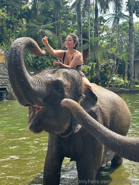 Sophiiejay star adult image