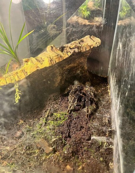 beach nude onlyfans beautiful naked gallery