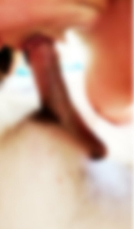 shelbivigdisfree pornstar exclusive archive