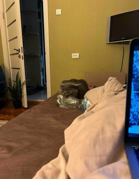 anyuta18 model adult photo