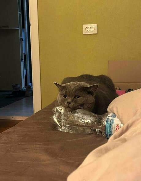 anyuta18 pornstar nude img