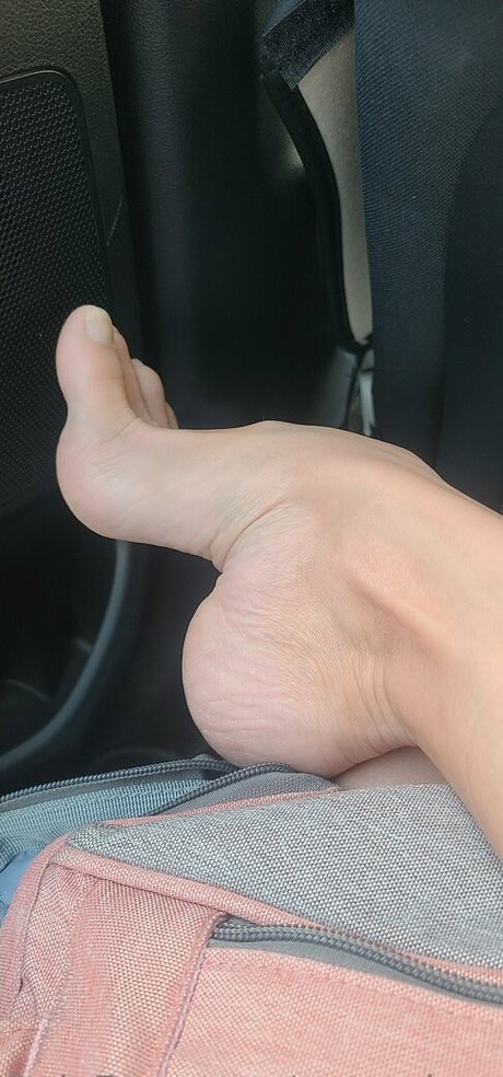 natarchesvip star art gallery