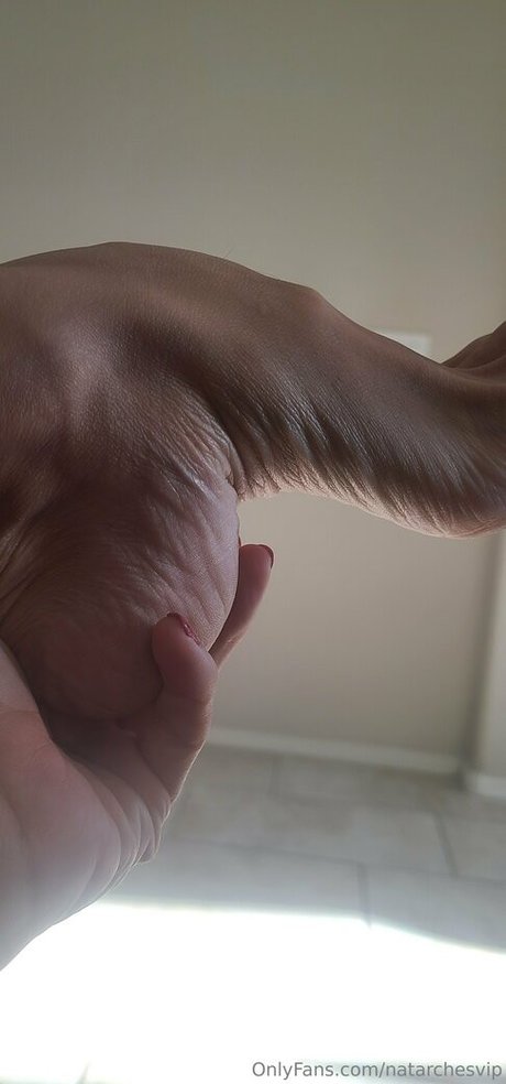 natarchesvip pornstar free gallery