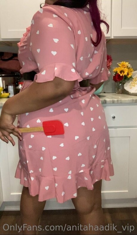 anitahaadik vip art actress pics