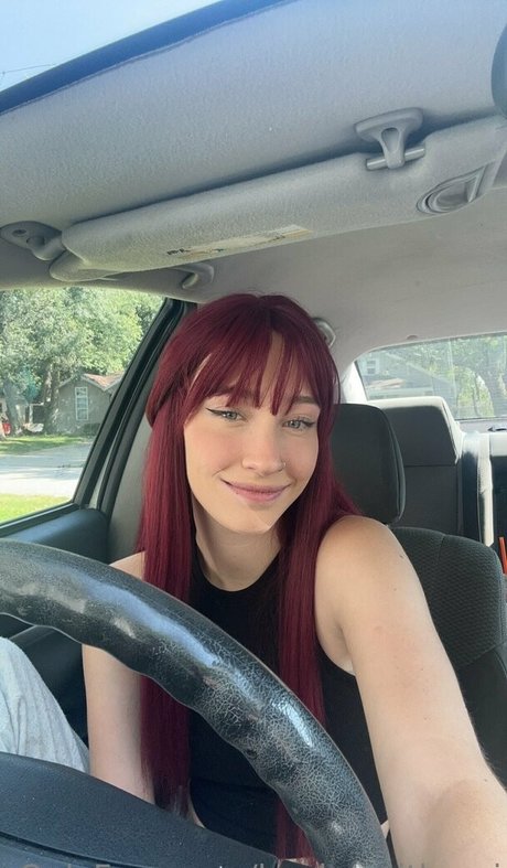 books withari high quality model img