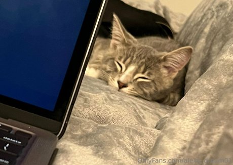 video call onlyfans nude galleries