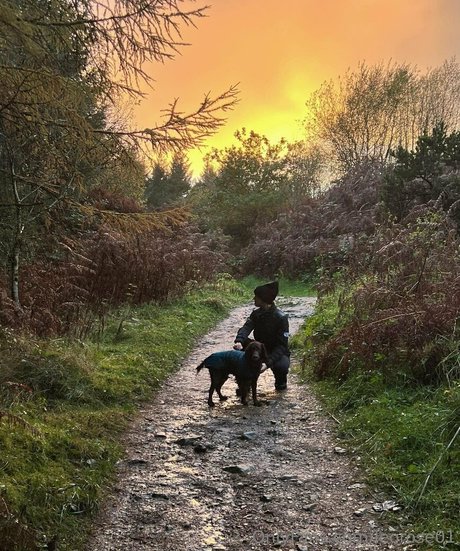 leorose01 pornstar hd images