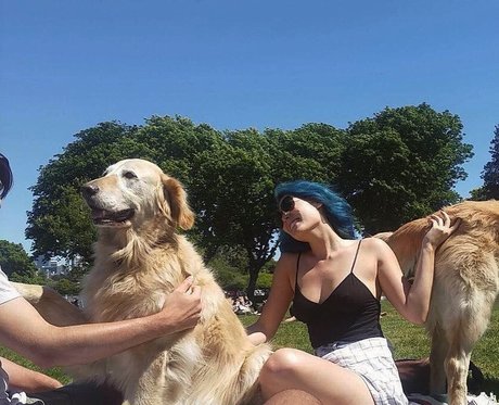 Maxine Lucille star hd archive