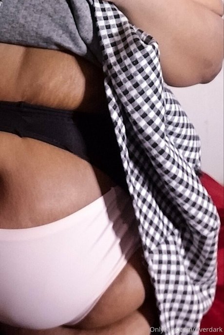 riverdark Quick model image