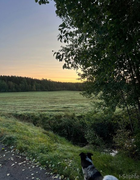 i sophie high quality actress archive