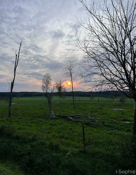 i sophie erotic star pictures