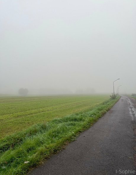 i sophie porn actress img