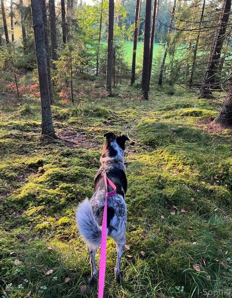 i sophie high quality model photo