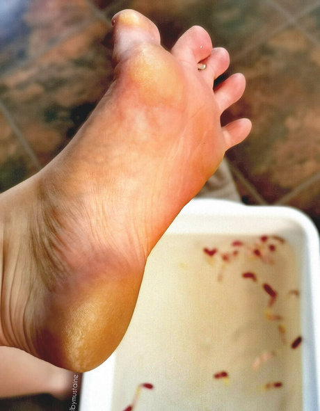 shelbymustaine model adult pics