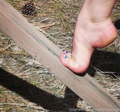 shelbymustaine star art pictures