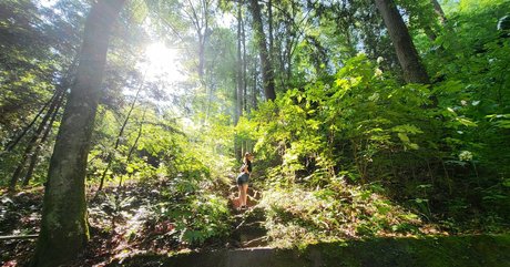 pinkplushieplants pornstar adult gallery