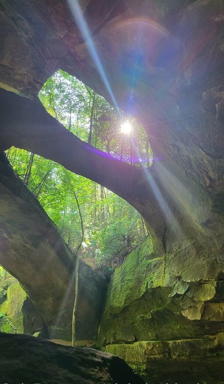 pinkplushieplants top actress archive