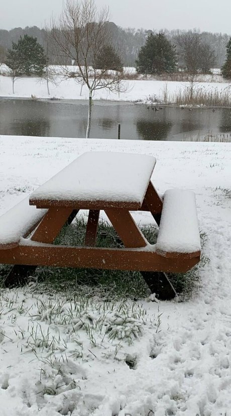 princessapril model image