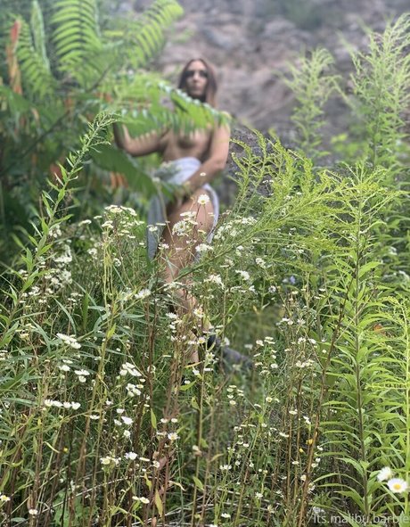 malibu barbie xx actress image