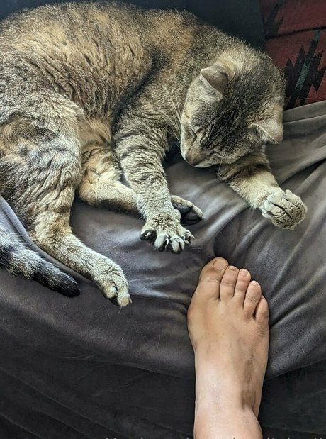 gay teen onlyfans hd pic