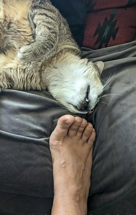 mexhotchocolate pornstar hd pictures