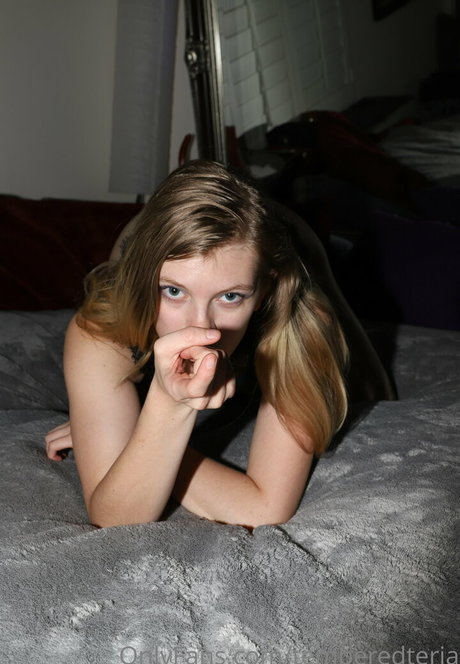 temperedteria adult star pic